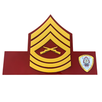 Dress Blue Chevron with Full- Color Logo