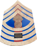 Natural Stain Chevron with Painted Epoxy Finish Stripe